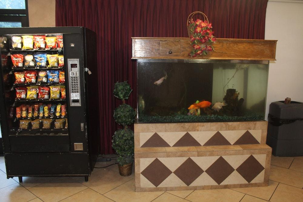 Shalimar Hotel Las Vegas